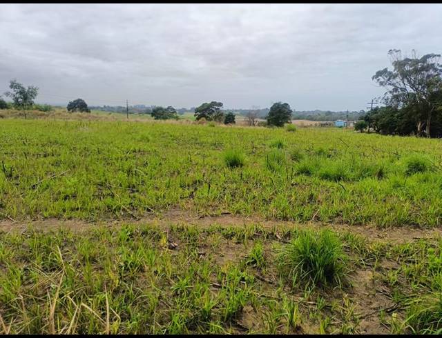 LAND FOR SALE IN BALLITO RURAL